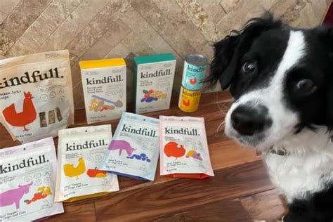 Kindful dog food. Things To Know About Kindful dog food. 